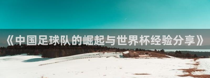 世界杯48支球队赛制:《中国足球队的崛起与世界杯经验分享》