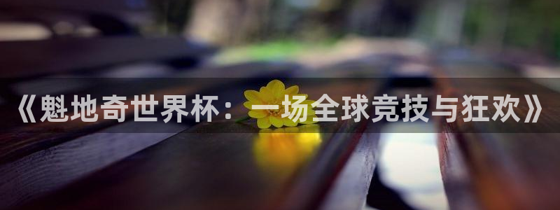 足球杯:《魁地奇世界杯:一场全球竞技与狂欢》