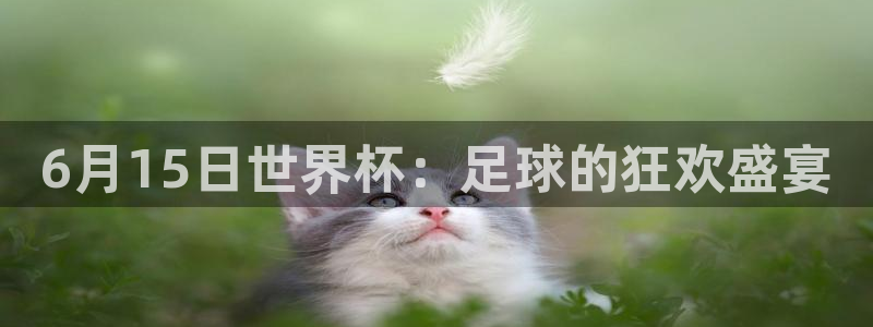 世界杯直播在线观看入口:6月15日世界杯:足球的狂欢盛宴