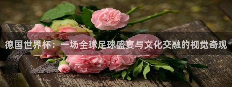 足球世界杯预选赛:德国世界杯:一场全球足球盛宴与文化交融的视觉奇观