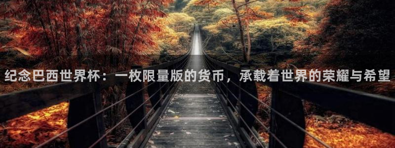 2026世界杯官网:纪念巴西世界杯:一枚限量版的货币,承载着世界的荣耀与希望