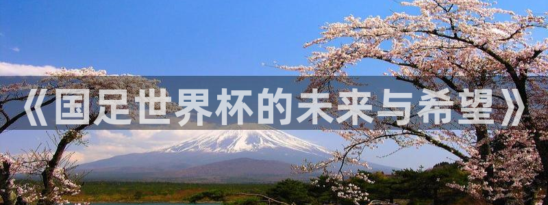 世界杯欧洲预选赛:《国足世界杯的未来与希望》