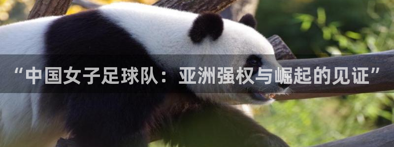 2026世界杯亚洲预选赛赛程:“中国女子足球队:亚洲强权与崛起的见证”